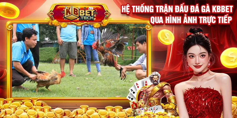 Hệ thống trận đấu đá gà kbbet qua hình ảnh trực tiếp