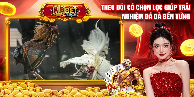 Theo dõi có chọn lọc giúp trải nghiệm đá gà bền vững