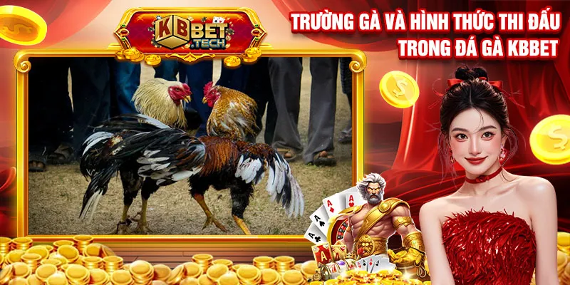 Trường gà và hình thức thi đấu trong đá gà kbbet